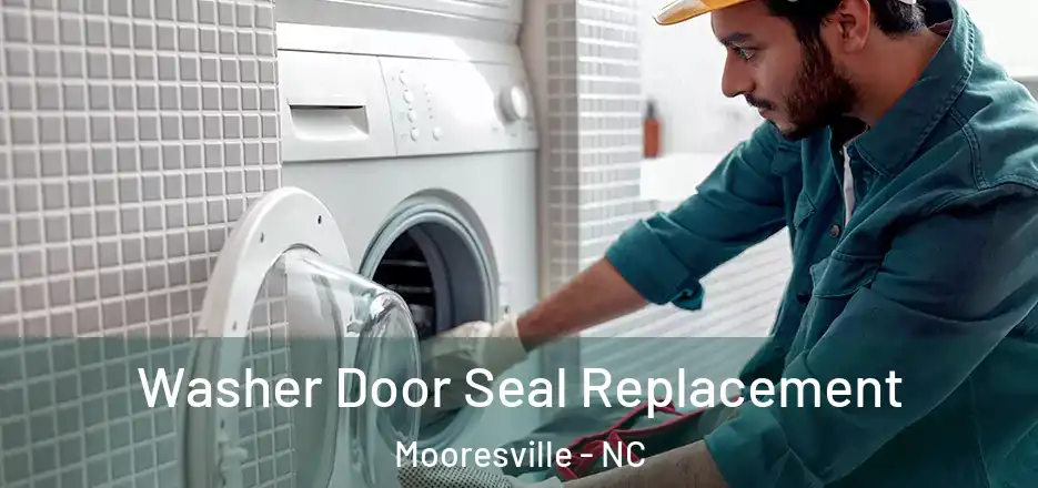  Washer Door Seal Replacement Mooresville - NC